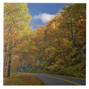 Carreau Blue Ridge Parkway courbant dans les couleurs de l