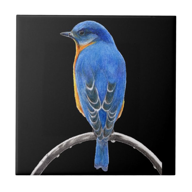 Carreau Bluebird (Devant)