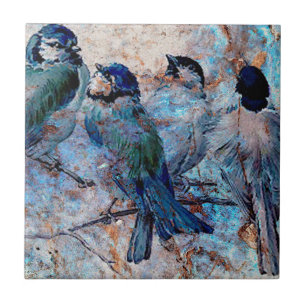 Carreau BLUEBIRD SOCIAL.jpg