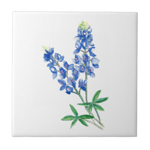Carreau Bluebonnet 3