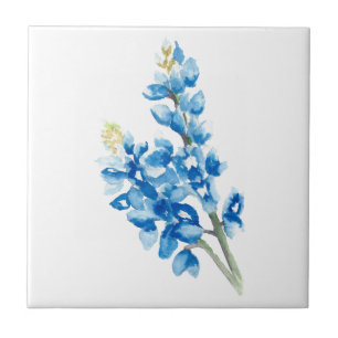 Carreau Bluebonnet 4