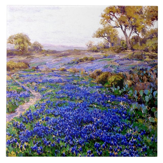 Carreau Bluebonnets à Twilight, au nord de San Antonio, (Devant)