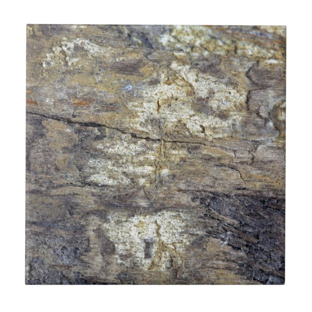 Carreau Bois fossile (Devant)