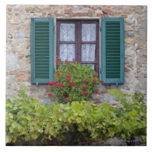Carreau Boîte de fleur sur la fenêtre