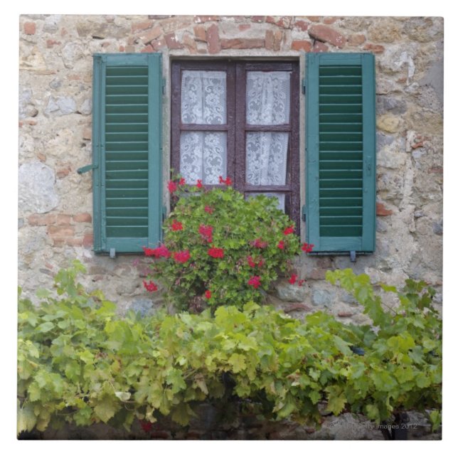 Carreau Boîte de fleur sur la fenêtre (Devant)