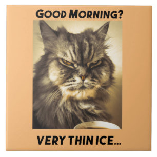 Carreau Bonjour ! De la glace très fine. Chat au toucher i