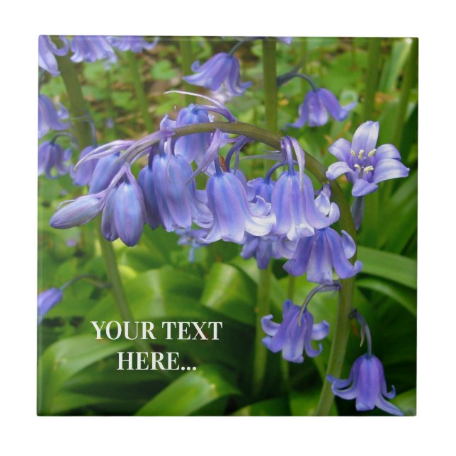 Carreau Bonnie Bluebell (Devant)