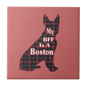 Carreau Boston Terrier BFF
