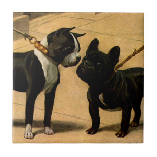 Carreau Boston Terrier et bouledogue français