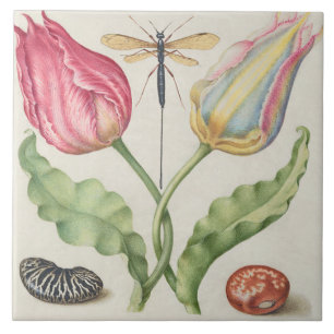 Carreau Botanique vintage 