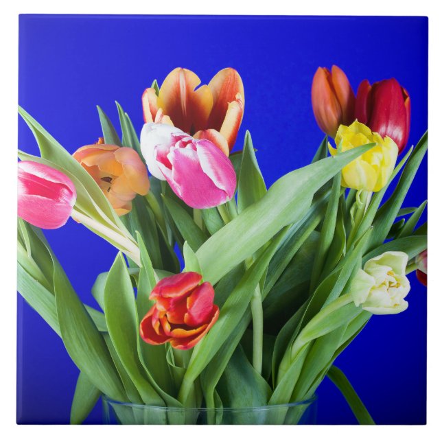 Carreau Bouquet de tulipes en bleu (Devant)