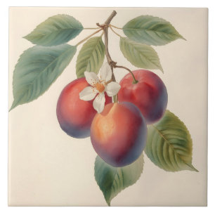 Carreau Branche de fruits de prunier rouge vintage avec fl