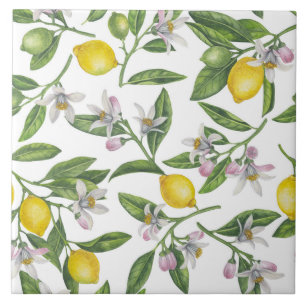Carreau Branches de citron avec fleurs et fruits sur blanc