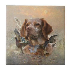 Carreau Bretagne française, Art de chasse aux oiseaux