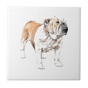 Carreau Bulldog