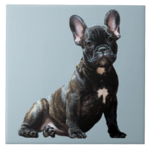 Carreau BULLDOG 3, Amour des animaux, meilleur ami KEEPSAK