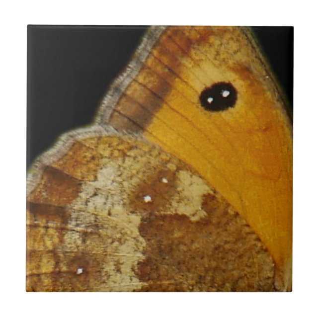 Carreau Butterfly Wing Tile (Devant)