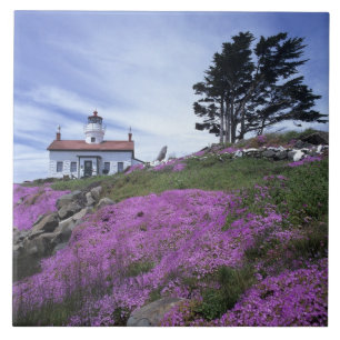 Carreau CA, Crescent City, phare de Battery Point avec