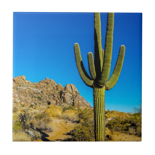 Carreau Cactus debout (Devant)