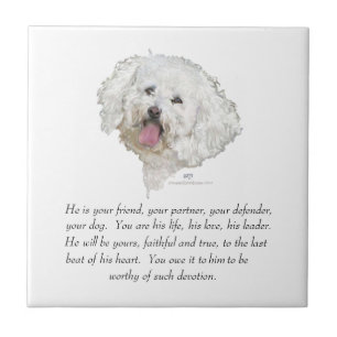 Carreau Cadeau, chien mâle