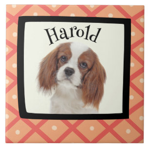 Carreau Cadre photo customisé King Charles Cavalier