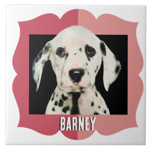 Carreau Cadre photo motif customisé Dalmatien