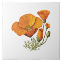 californie orange pavot floral céramique