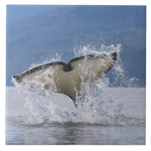 Carreau Canada, Colombie-Britannique, Île de Vancouver,
