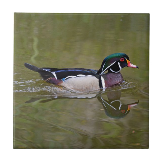 Carreau Canard en bois coloré (Devant)