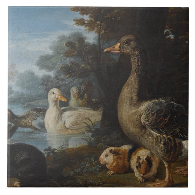 Carreau Canards Cochons de Guinée et un lapin dans un pays (Devant)