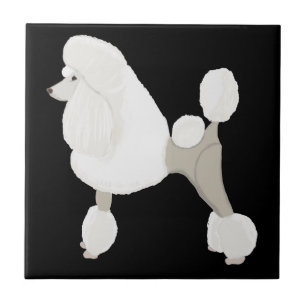 Carreau Caniche de Show Blanc