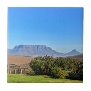 Carreau Cape Town Table Mountain View Gris