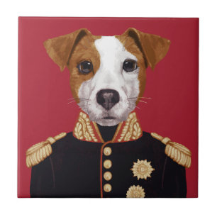 Carreau Capitaine Jack Russell