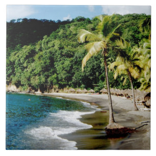 Carreau Caraïbes, Petites Antilles, Indes occidentales, Sa