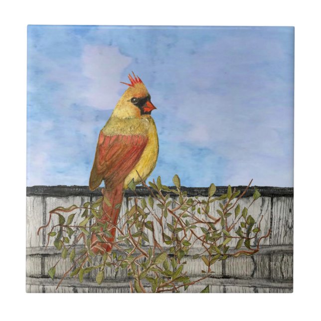 Carreau Cardinal cardinal cardinal cardinal (Devant)