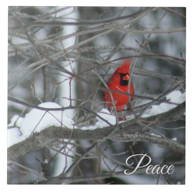 Carreau Cardinal dans la neige (Devant)