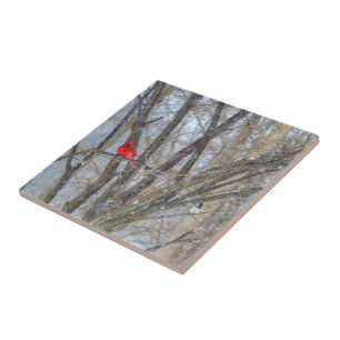 Carreau Cardinal et Chickadee