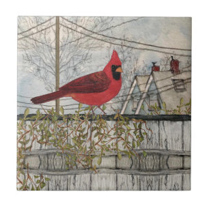 Carreau Cardinal Rouge Cardinal Bird City Carrelage en cér