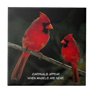 CARREAU CARDINALS CITE LE TITRE CÉRAMIQUE
