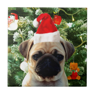 Carreau Carlin Chien Chien Chien de Noël Arbre de Noël Orn