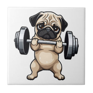 Carreau Carlin fitness