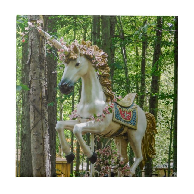 Carreau Carousel Unicorn (Devant)