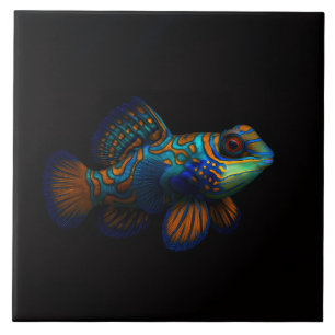Carreau Carrelage 4 Luxe noir avec Poisson Dragonet Mandar