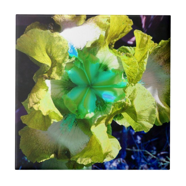 Carreau Carrelage à fleurs en fer jaune, blanc et vert (Devant)