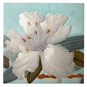 Carreau Carrelage Art nouveau cheminée décorative