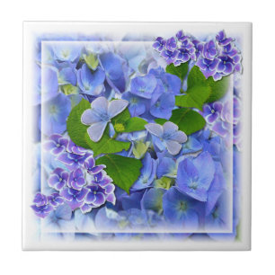 Carreau Carrelage Blue Hydrangeas et Butterflies