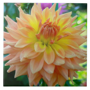 CARREAU CARRELAGE CÉRAMIQUE AVEC DAHLIA AUX COULEURS DE PA