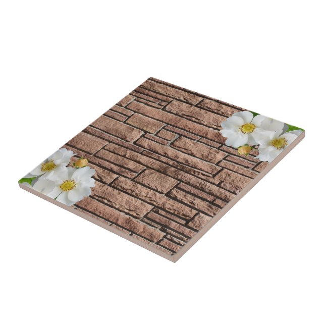 Carreau Carrelage céramique brique Floral (Côté)