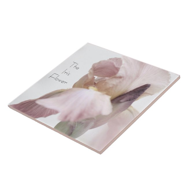 Carreau Carrelage céramique Iris Fleur rose/violet (Côté)