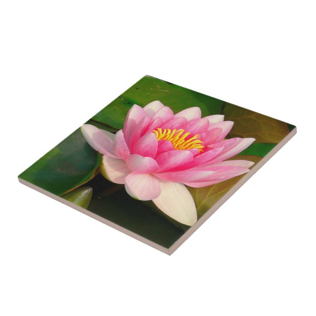 CARREAU CARRELAGE CÉRAMIQUE / LOTUS ROSE BLOSSOM (Côté)